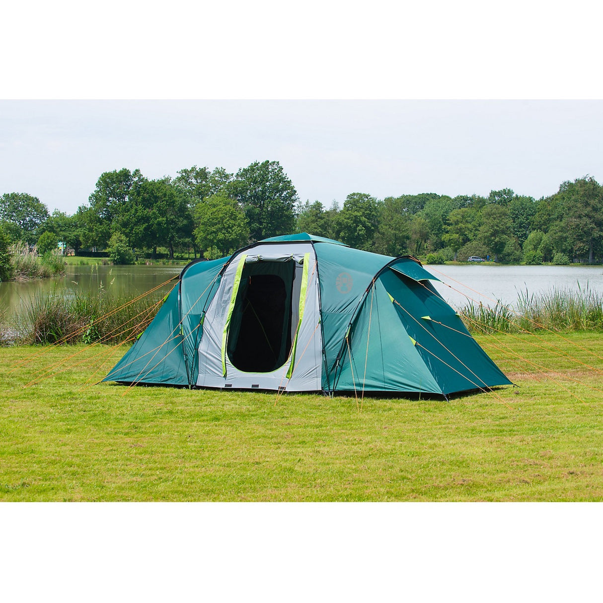 Coleman Spruce fällt 4