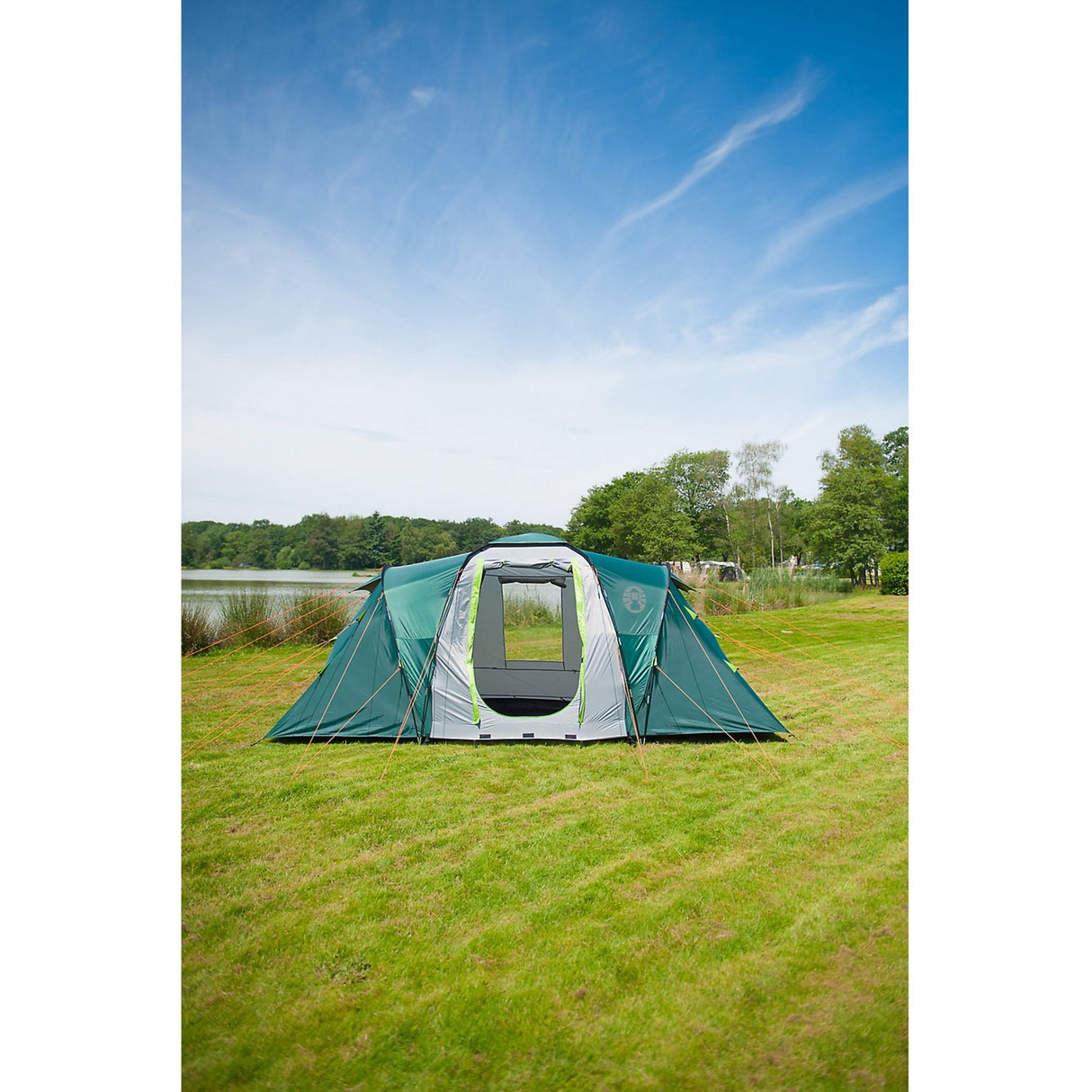 Coleman Spruce fällt 4