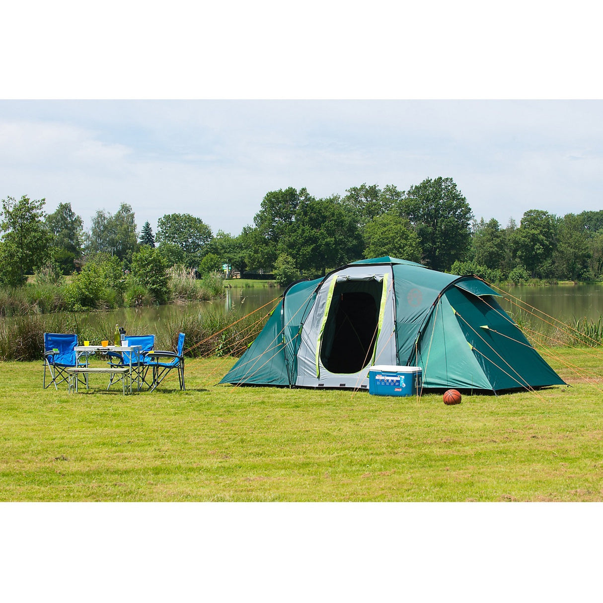 Coleman Spruce fällt 4