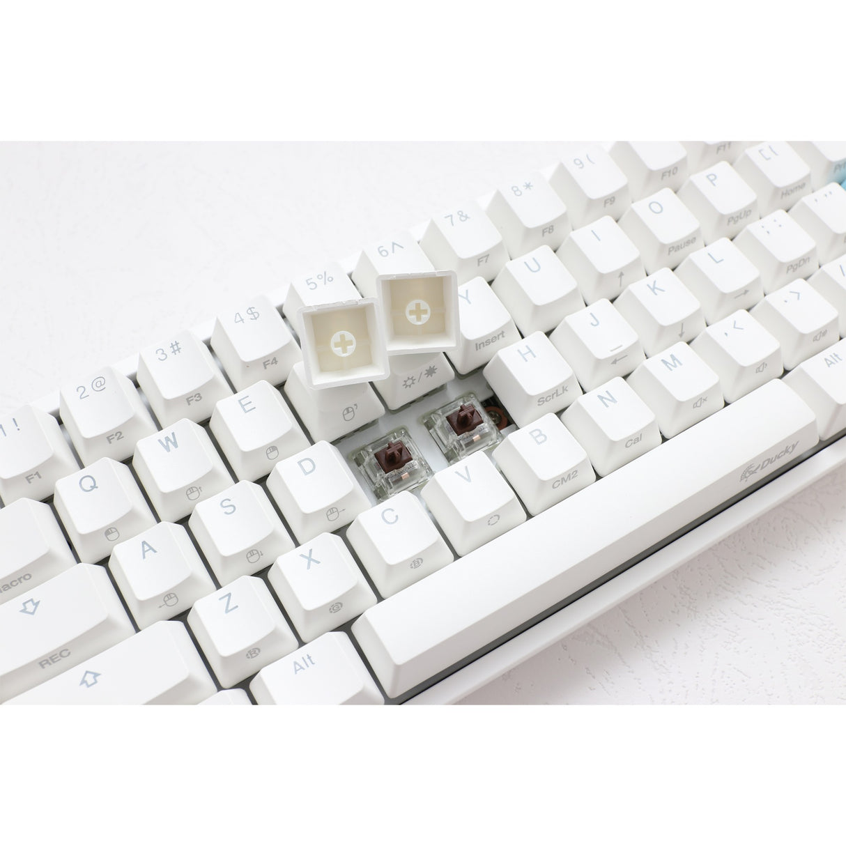 Ducky een 2 mini rgb reng wäiss