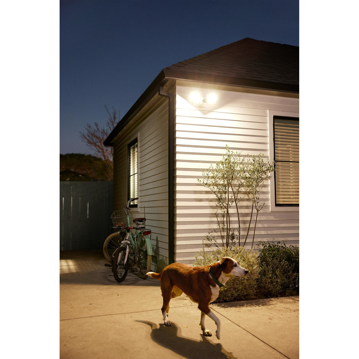 Google Cam mit Flutlicht