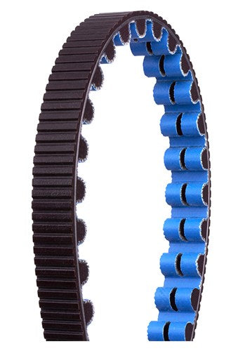 Gates CDX Riem 122 Tods Black Blue