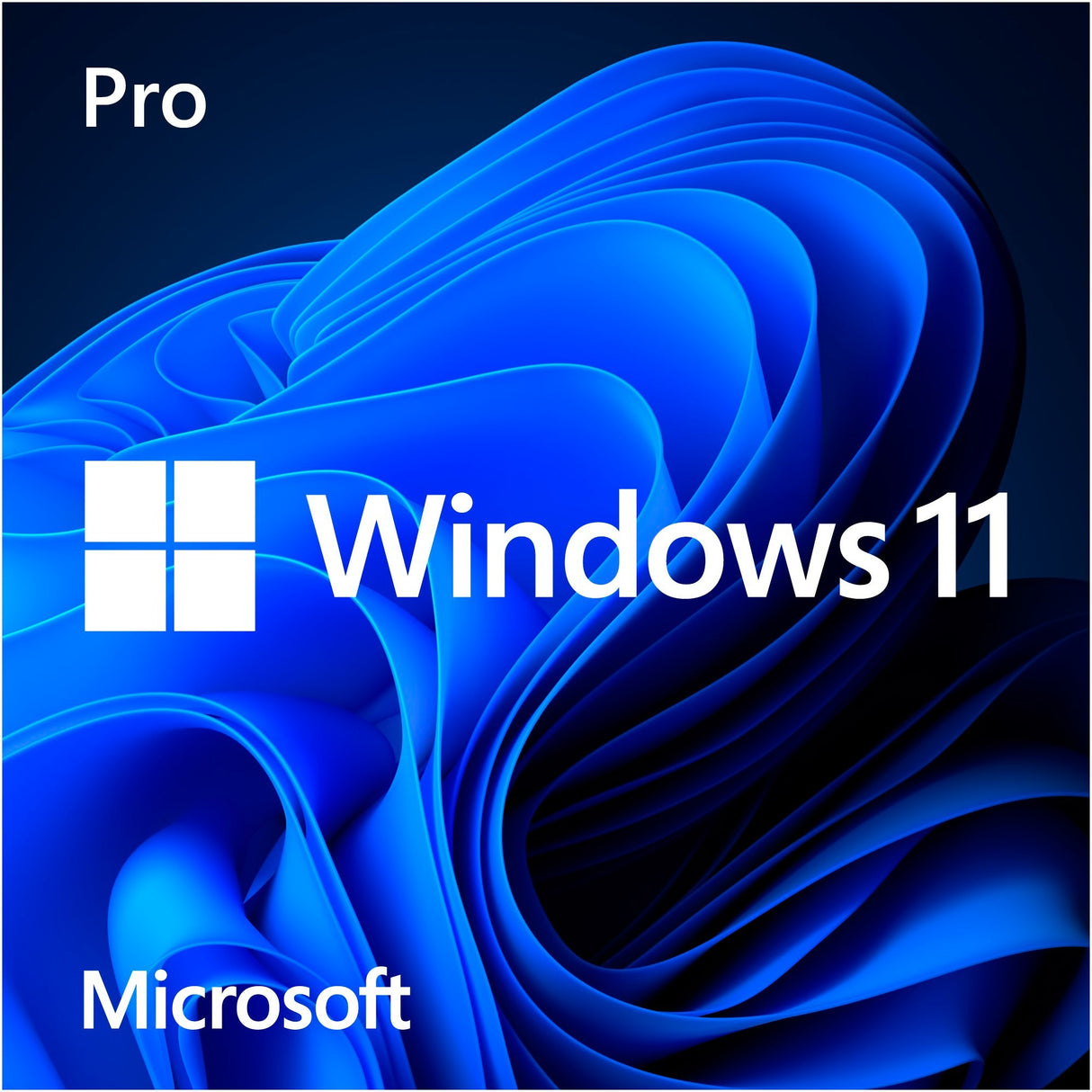 Microsoft Windows 11 (Dutch) SystemBuilder