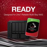 Seagate senagate Ironwolf 6 tb
