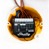 Shely qunino Wave 2pm