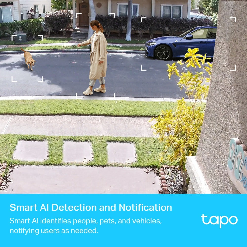 TP-Link TAPO C400S2
