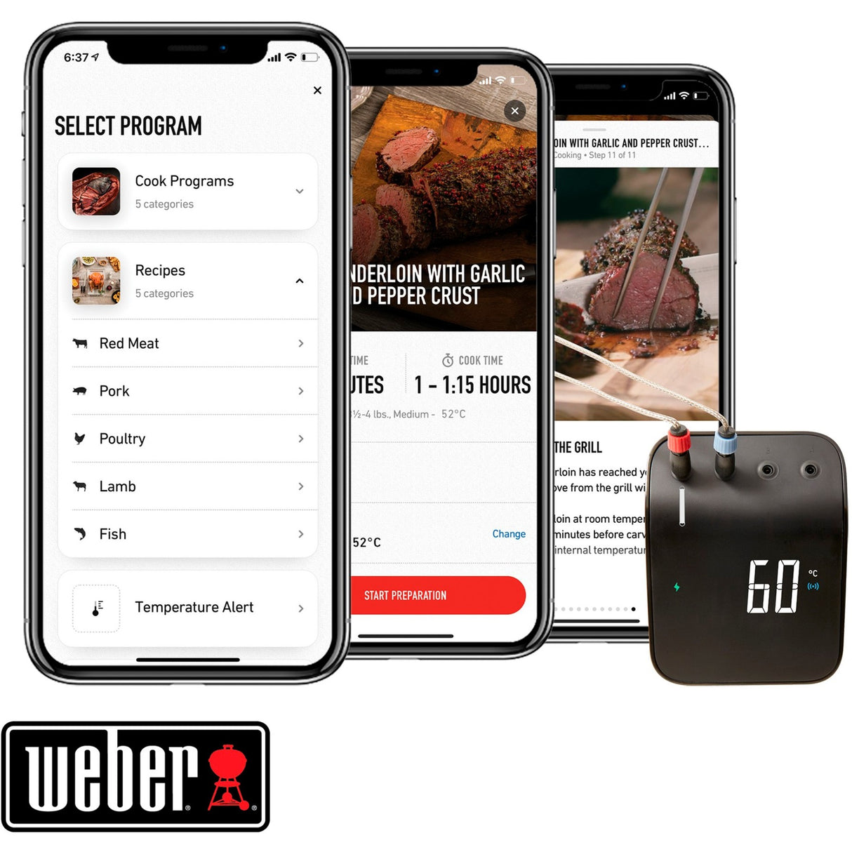 Weber Connect Grilling Hub