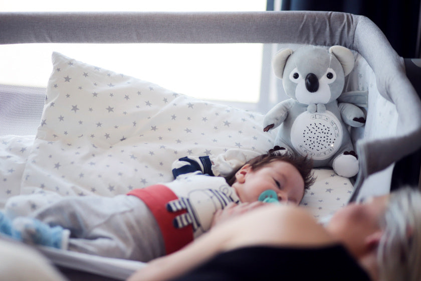 Chipolino Plush Baby Projektor Knuffelkoala s hudebním světlem