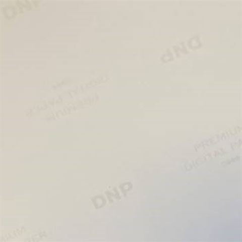 DNP Standardpapper DSRX1HS-4X6 2 Roll � 700 St. 10x15 för DS-RX1HS
