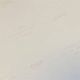 DNP Standardpapper DSRX1HS-4X6 2 Roll � 700 St. 10x15 för DS-RX1HS