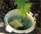 Comfortpool Starfish Cleansing Svampe