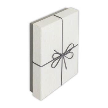 ZEP storage box BX3514B Box Piacenza B 15.3x21.4x4