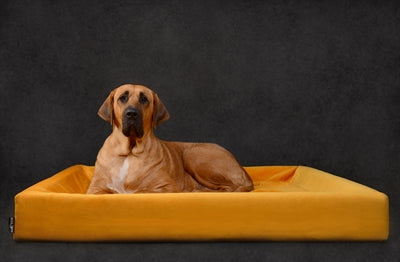 Copertina di velluto reale Bia per cestino per cani OKER