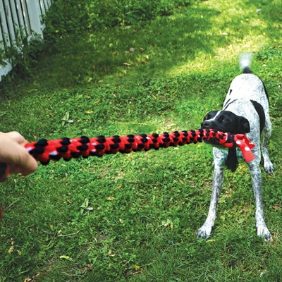 Kong Signature Seil Mega Dual Knot
