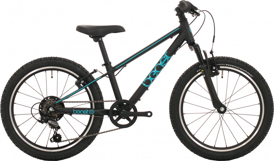 Bikefun De 20 tommer 26 cm drenge 6V V-bremser sort blå