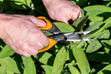 Masterclass Herbsaks 15 cm rustfrit stål gummi sort orange
