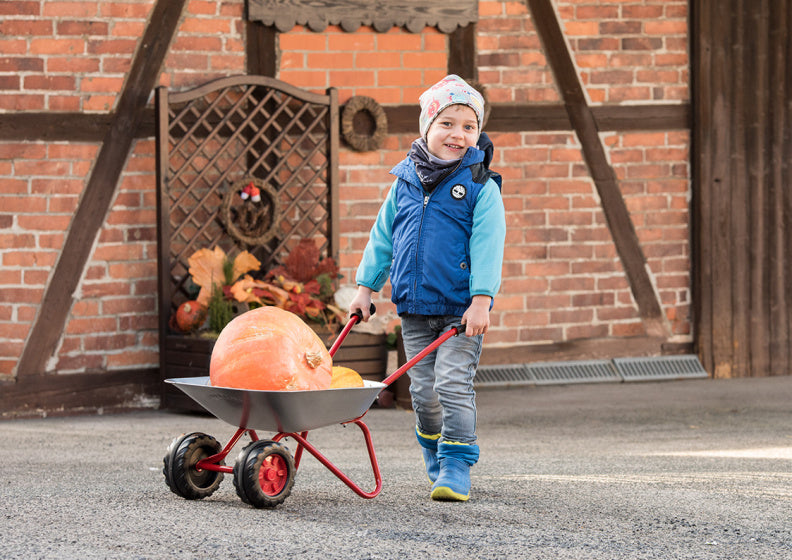 Rolly Toys Stahlschubkarren Junior Silberrot