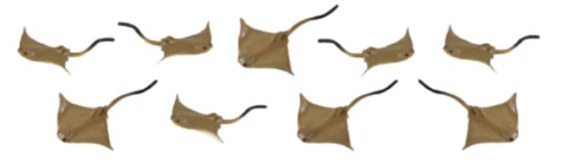 Safari Roggen spillt Déier Set Junior 2 cm brong 192 Stécker