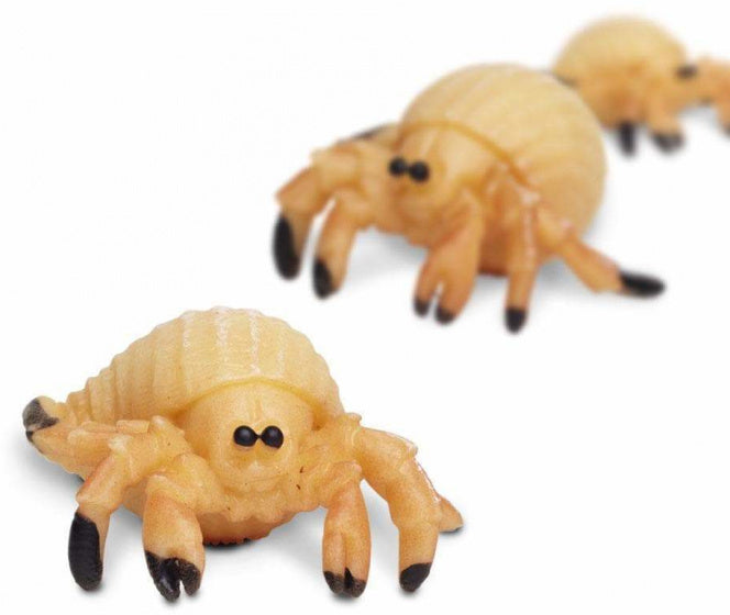 Safari Heremietkreefen Play Set 2,5 cm 192-stycken