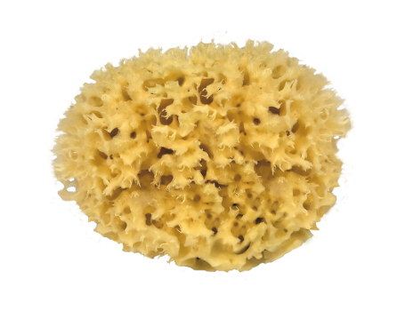 Croll Denecke Nature sponge for the body